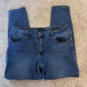 Tahari Blue Skinny Jeans Classic Denim